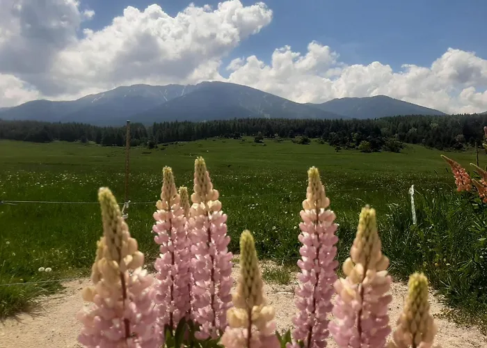 아파트 50m Carre Maxi 6 Personnes Vue Panoramique Montagne 라라건